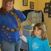 preschool girl tentatively touching rattlesnake