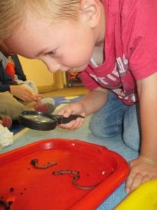 worms and dirt preschool science