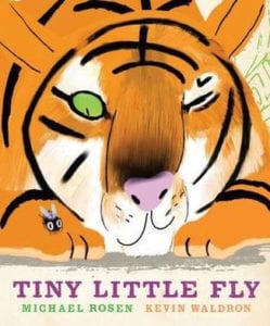 tiny little fly Preschools Daycare Brentwood Oakley Martinez 94513 94561 94553